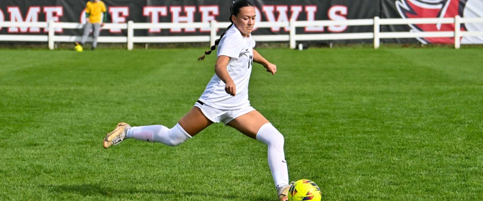 Owl Soccer Player