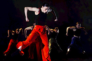 Dances on Film by Tori Lawrence